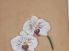 20130322-orchidee-2.jpg